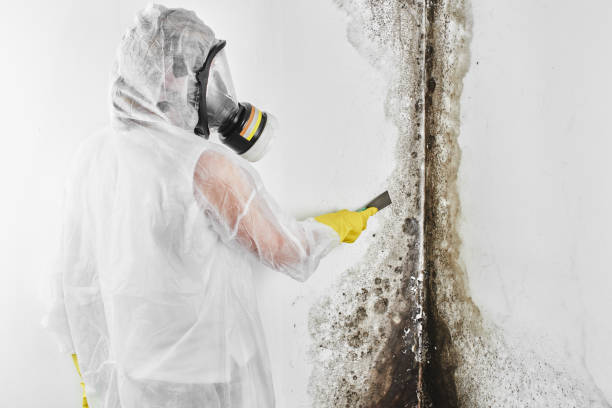 Mold Remediation for Rental Properties in Martinsville, VA